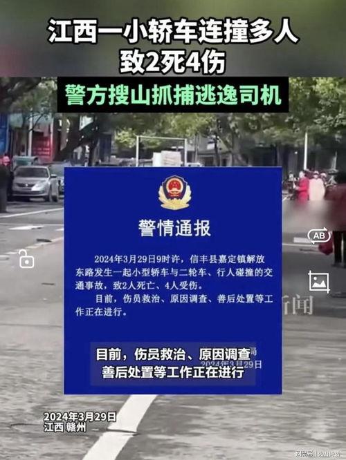 西宁五中最新爆料事件,事件背后真相揭晓